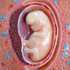 Illustration for article titled Babies Never Leave You, or at Least Their Cells Dont